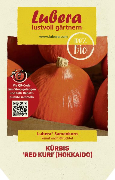 K�rbis 'Red Kuri' (Hokkaido)