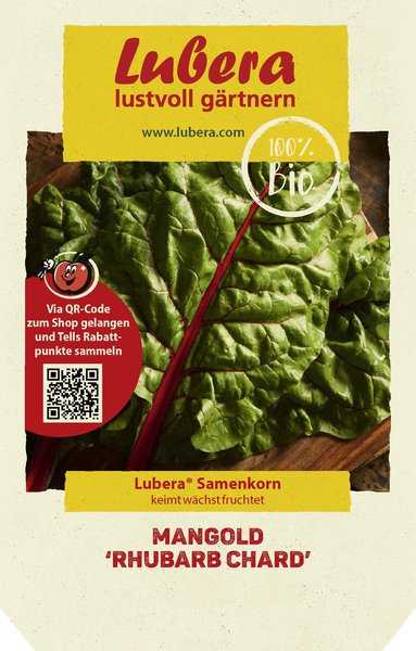 Mangold 'Rhubarb Chard'