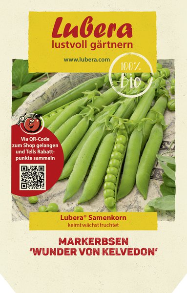 Markerbsen 'Wunder von Kelvedon'