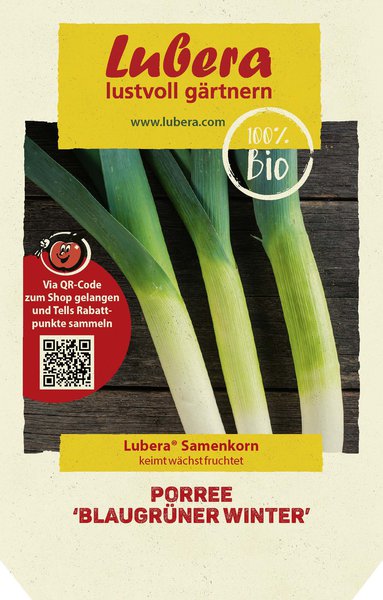 Porree 'Blaugr�ner Winter'