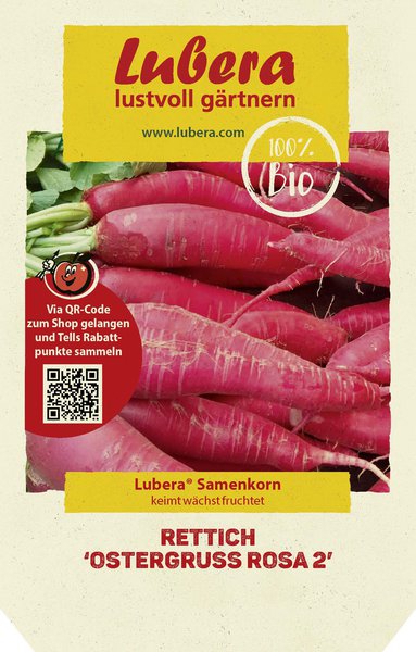Rettich 'Ostergruss rosa 2'
