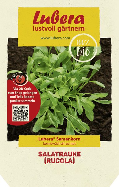 Semer des salades