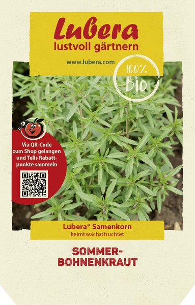 Sommer-Bohnenkraut