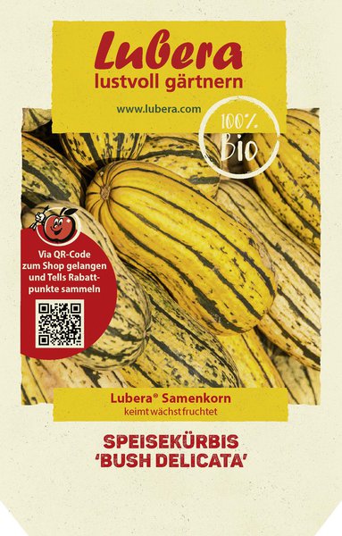 Speisek�rbis 'Bush Delicata'