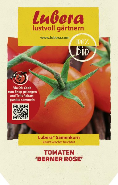 Tomaten 'Berner Rose' Samen