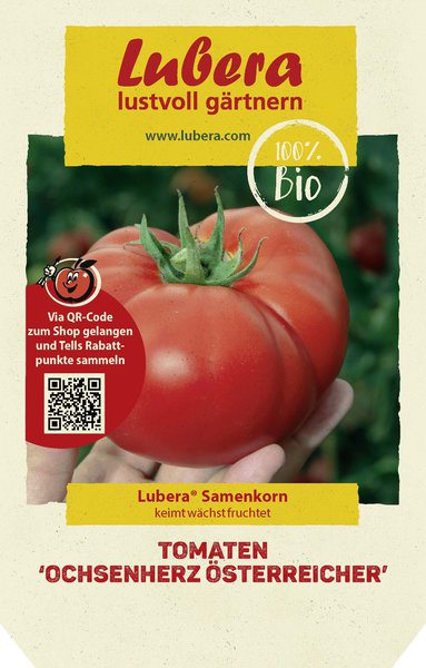 Tomaten 'Ochsenherz �sterreicher'