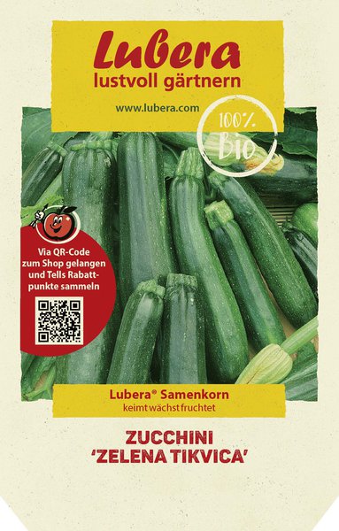Zucchini 'Zelena Tikvica'