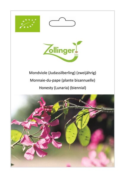 Mondviole (Judassilberling) (zweij�hrig)