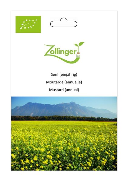 Senf (einj�hrig)