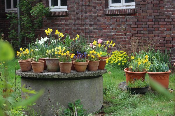 Un jardin propre en ordre ? Le jardin bien entretenu, un devoir social