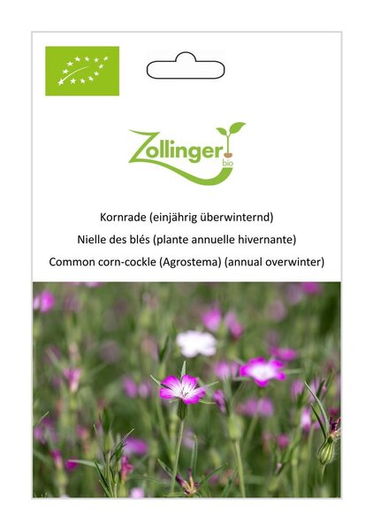 Kornrade (einj�hrig �berwinternd)