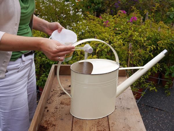 Engrais pour agrumes, Fertilit&eacute; du sol, Fertilit&eacute; des sols