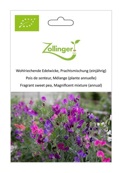 Wohlriechende Edelwicke, Prachtsmischung (einj�hrig)
