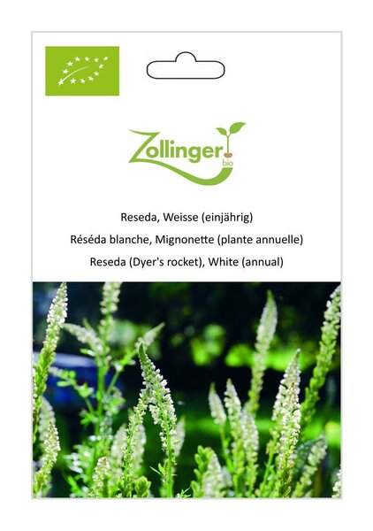 Reseda, Weisse (einj�hrig)