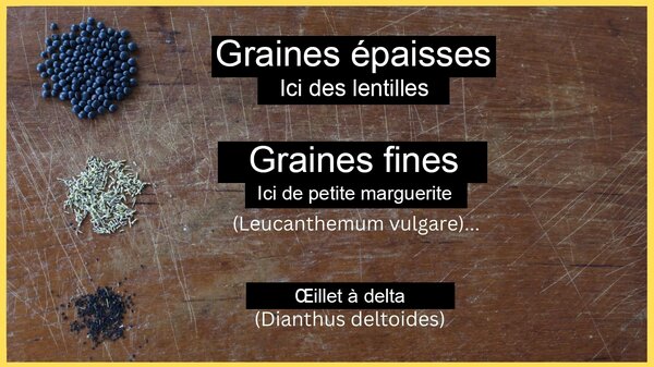 Produire ses propres semences, Lubera