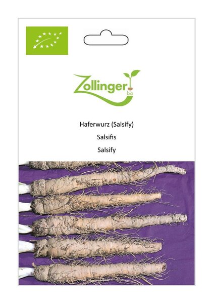 Haferwurz (Salsify)