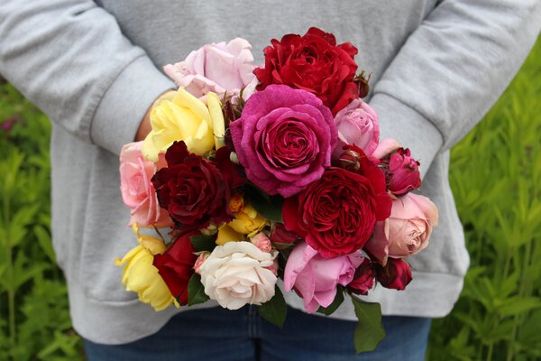 Roses parfum&eacute;es, Bouquet de fleurs coup&eacute;es compos&eacute; de : 'Adore Aroma', 'Aspirin', 'Andr&eacute; Rieu', 'Compassion', 'Grande Amore', 'Golden Showers', 'Heinz Winkler', 'Limona', 'Kaffe Fassett', 'Rose de 4 Vents', 'Soeur Emmanuelle', 'Synactiv by Shiseido' et 'Unique Aroma'.