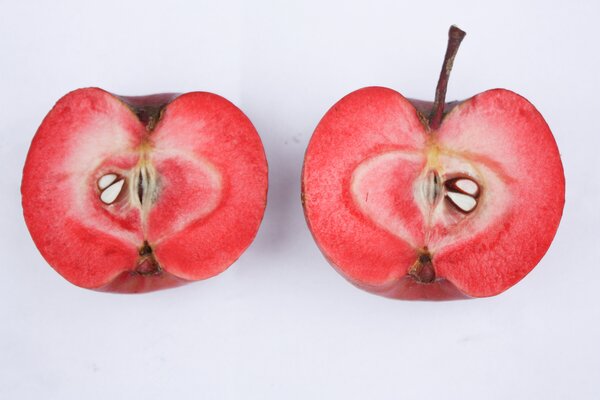 Pomme rouge, malus domestica, Redlove Calypso 