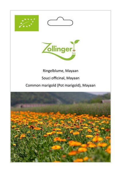 Ringelblume, Mayaan