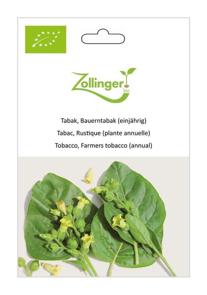 Tabak, Bauerntabak (einj�hrig)