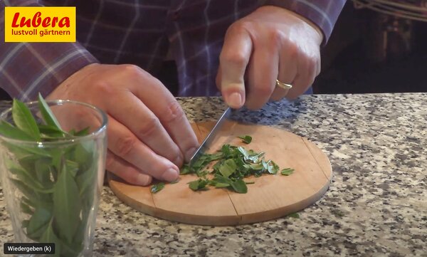 The, extrait Vid&eacute;o, pr&eacute;paration, Fresh-Tea, th&eacute; Mate