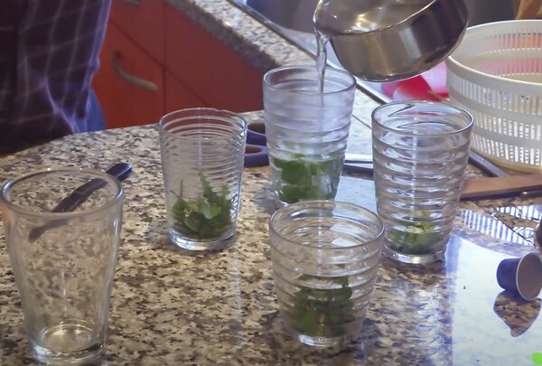 The, extrait Vid&eacute;o, infusion, Fresh-Tea, th&eacute; Mate