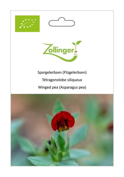 Spargelerbsen (Fl�gelerbsen), Lotus