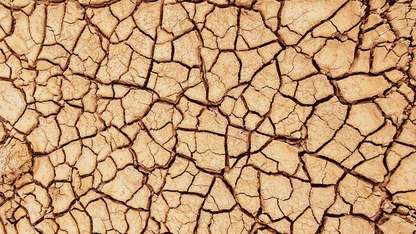 s&eacute;cheresse du sol, pr&eacute;server l'humidit&eacute; du sol, s&eacute;cheresse dans le jardin
