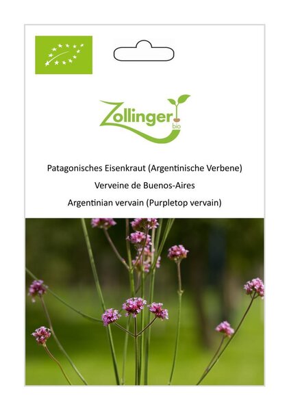 Patagonisches Eisenkraut (Argentinische Verbene)