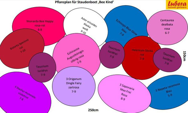 Staudenbeet Zeichnung Bee Kind, Lubera