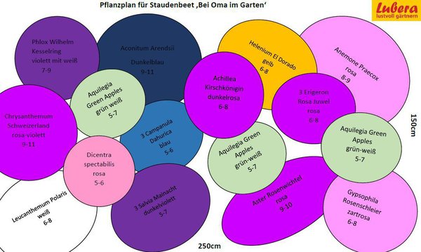 Staudenbeet Pflanzplan Bei Oma im Garten, Lubera