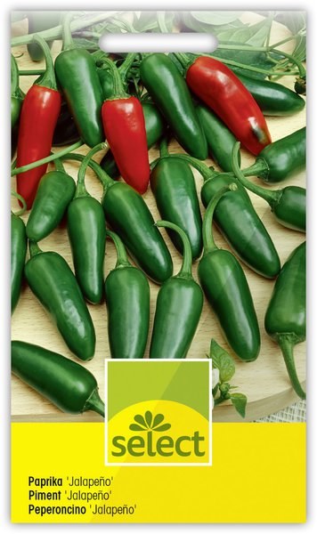 Paprika 'Jalape�o'
