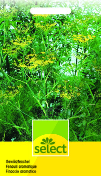 Gew�rzfenchel